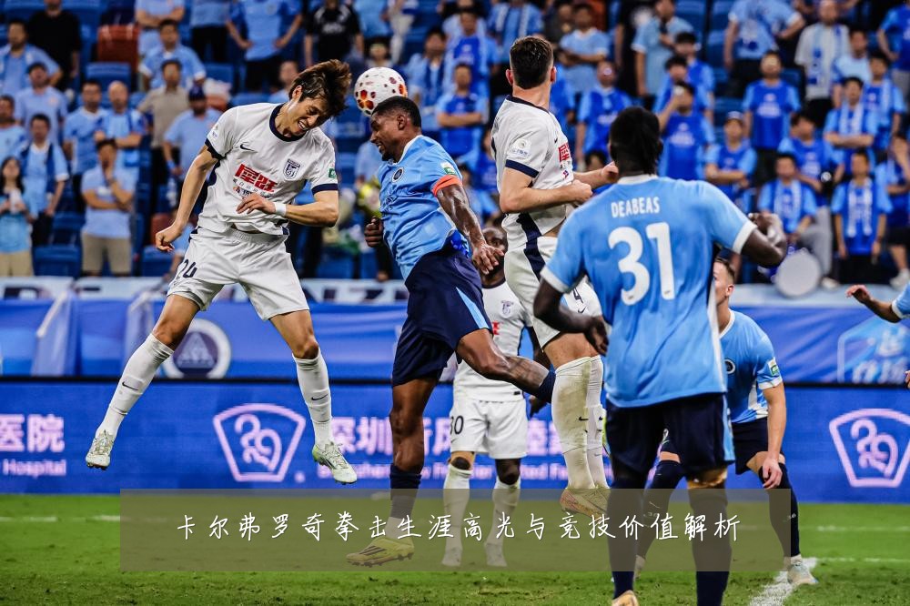 卡尔弗罗奇拳击生涯高光与竞技价值解析