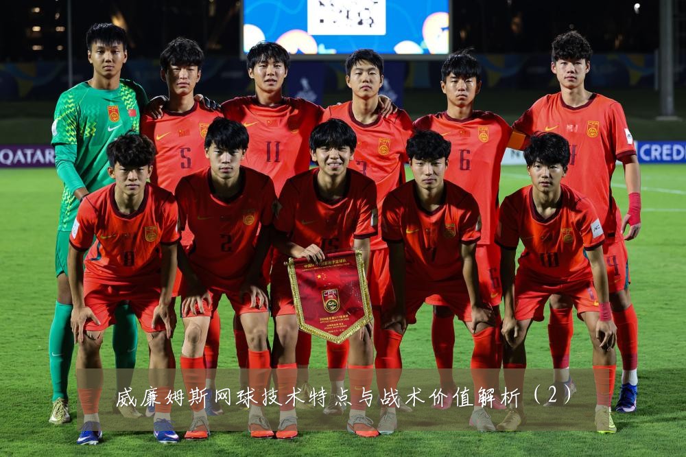 威廉姆斯网球技术特点与战术价值解析（2）